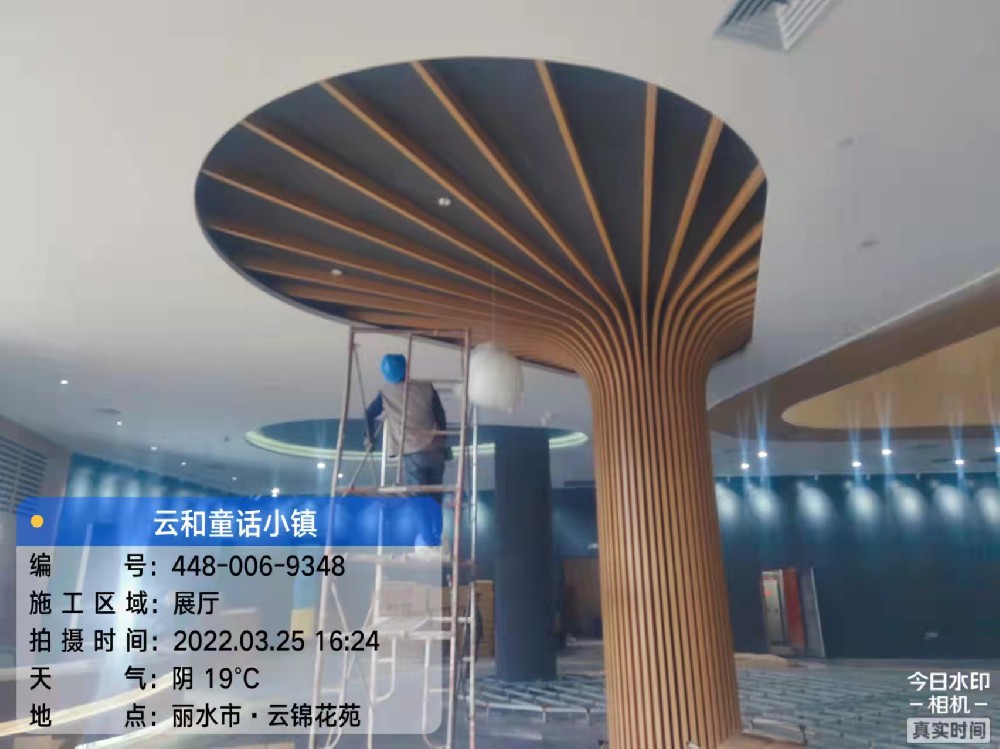鋁樹53